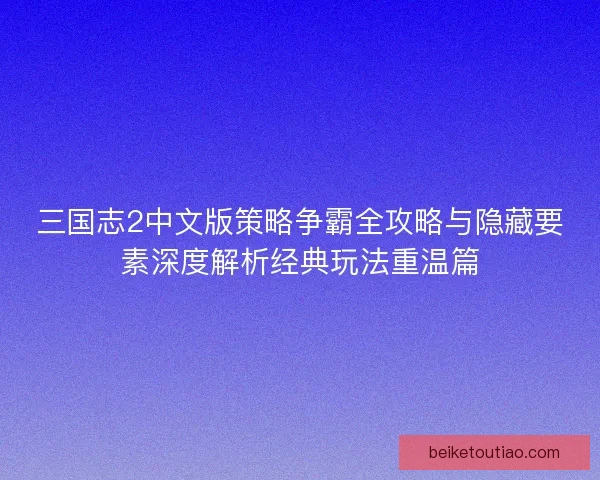 三国志2中文版策略争霸全攻略与隐藏要素深度解析经典玩法重温篇